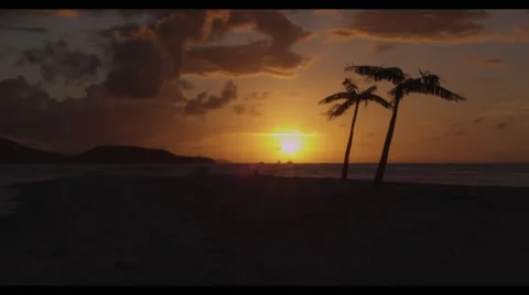 Sun Set Time Lapse in the Caribbean with Palm Trees Stock Footage 41610399