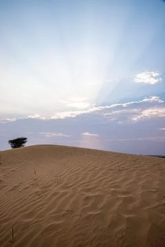 Sun set view of thar desert during blue hour. Stock Photos