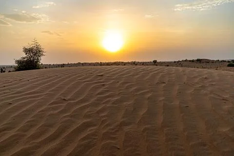 Sun set view of thar desert during golden hour. Stock Photos