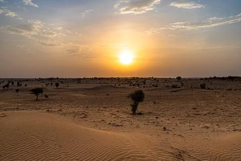 Sun set view of thar desert during golden hour. Stock Photos