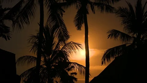 Sun sets against background of palm trees Stock Footage 119370352