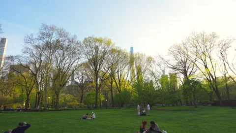 The sun sets among Central Park West buildings beyond the Central Park. Stock Footage 306273038