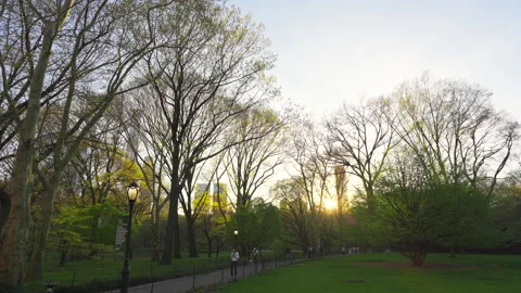 The sun sets among Central Park West buildings beyond the Central Park. Stock Footage 306276939