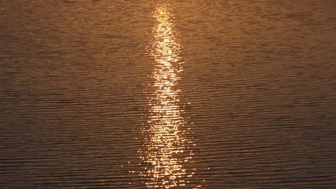 The sun sets on the Arno river in Florence Video stock 78598219