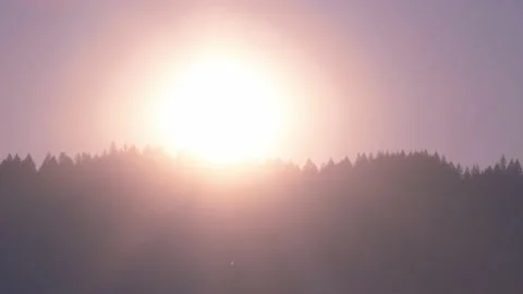 Sun Sets Behind Forest Horizon Stock Footage 167190331