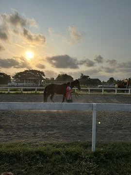 Sun sets behind horse and rider in quiet paddock Stock Photos