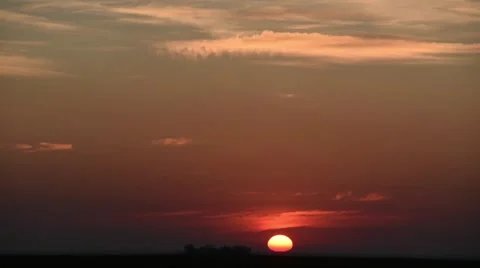 The sun sets behind a solitary tree Stock Footage 63299904