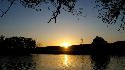 Sun sets behind the trees. Stock Footage 108558552