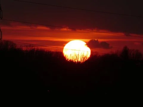 The sun sets behind trees on the horizon Stock Photos