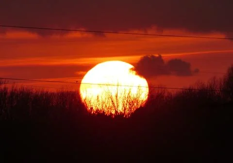 The sun sets behind trees on the horizon Stock Photos