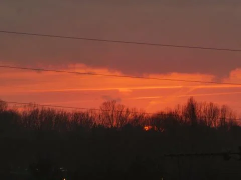 The sun sets behind trees on the horizon Stock Photos