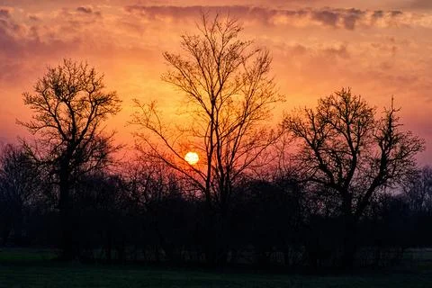 The sun sets in a cloud-streaked sky, its light outlining bare trees Stock Photos