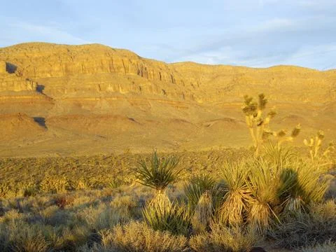 Sun sets on desert Foto stock