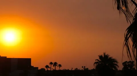 Sun Sets Over a Building and Palm Trees in the Distance Stock Footage 61839761