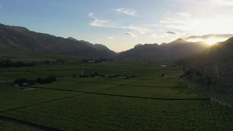 Sun sets over distant mountain to light valley of lush green orchards Stock-Footage 330861453