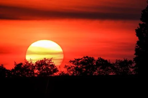 The sun sets over a few trees in the dutch countryside Stock Photos