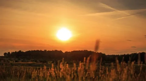 The sun sets over the forest. Stock Footage 52908065