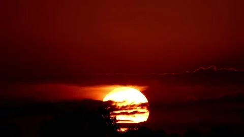Sun sets over the horizon with clouds and trees. Timelapse of Red sunset Stock Footage 235607830