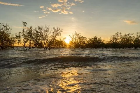 The sun sets over a muddy field with trees in the background Stock Photos