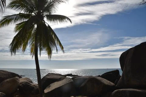 The sun sets over the ocean with palm trees 스톡 사진