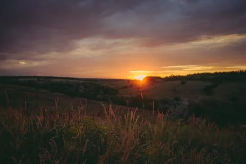 Sun sets over the tops of forest trees in clouds. Panoramic photo of purple Stock Photos