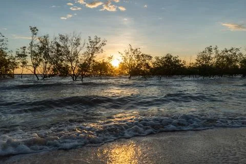 The sun sets over water with trees in the background Stock Photos