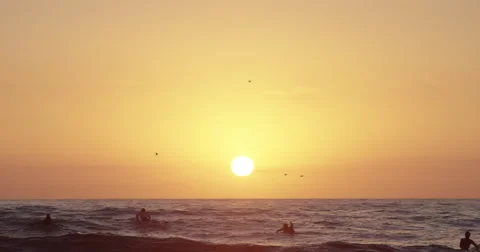 Sun sets with silhouettes of surfers Stock Footage 68563579