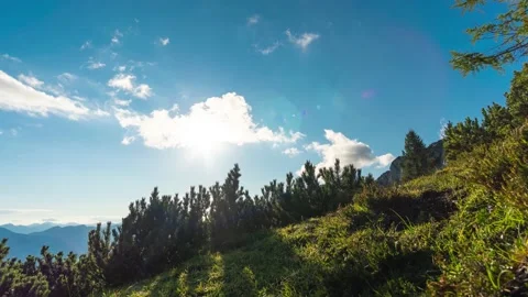 The Sun Sets Slowly Behind Mountain Pines Stock Footage 149908964