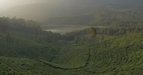 The sun sets on the tea fields of Munnar Stock Footage 120054456