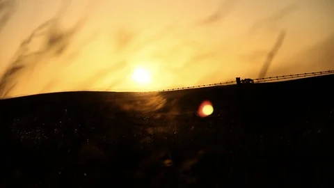 Sun sets, wind blows, in the fields Stock Footage 99326733
