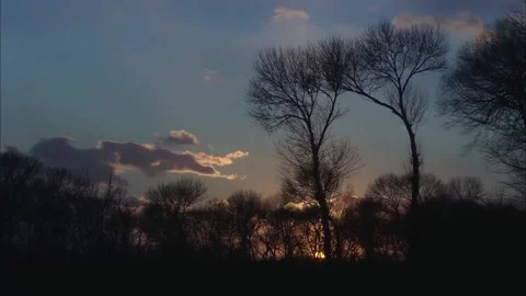 The sun sets in the woods Stock Footage 249505965