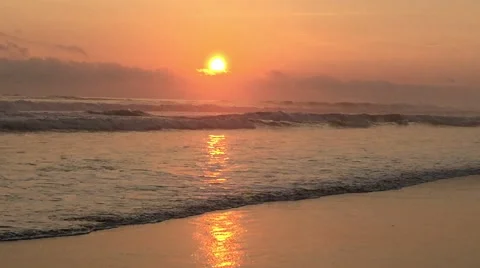 Sun Setting Above Ocean, Beach Bird Video stock 49075721