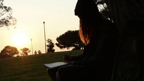 Sun setting by the artist Stock Footage 102026451