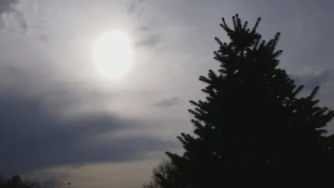 Sun setting behind Blue Spruce Tree with rolling clouds Stock Footage 94132254