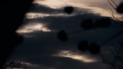 Sun setting behind clouds with cherry blossoms in foreground Stock Footage 172246939