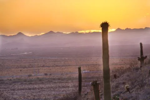 The sun setting behind distant mountains in Arizona with a saguaro cactus in  스톡 사진