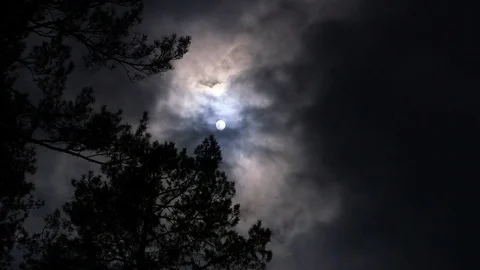 Sun setting behind fog bad weather Stock Footage 80109789