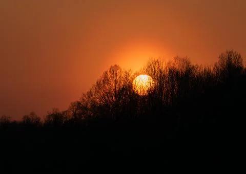 Sun setting behind forest on orange sky Stock Photos