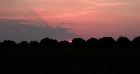 Sun setting behind forest silhouette. Stock Footage 160129655