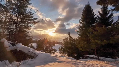 The sun setting behind the hills, the trees swaying in the wind pine trees under Stock Footage 170451500
