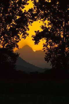 Sun setting behind the mountain framed by silhouettes of trees in foreground Stock Photos