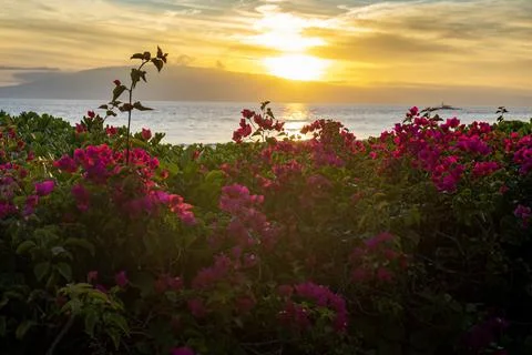 Sun Setting behind mountain in Maui, Hawaii Stock Photos