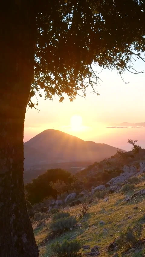 Sun setting behind mountain with tree framing Stock Footage 290449192