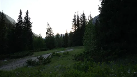 Sun setting behind mountains in coniferous forest Vídeos de archivo 313789723