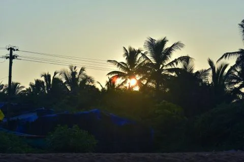 Sun setting behind the palm tree in a beach Foto stock