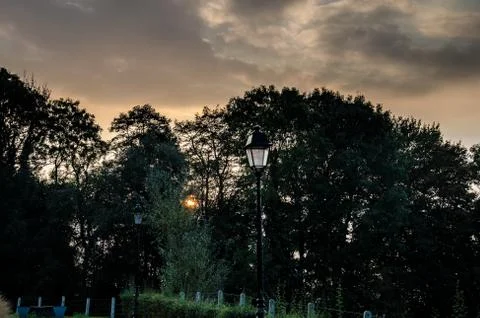 Sun setting behind a small forest Foto stock