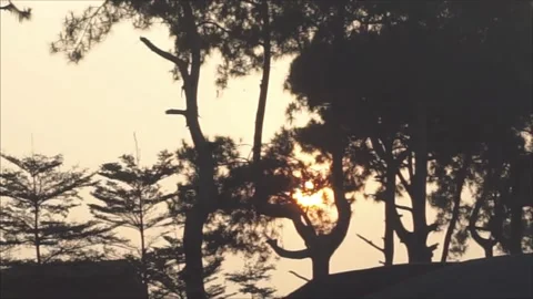 The sun is setting behind some trees Stock-Footage 341683048