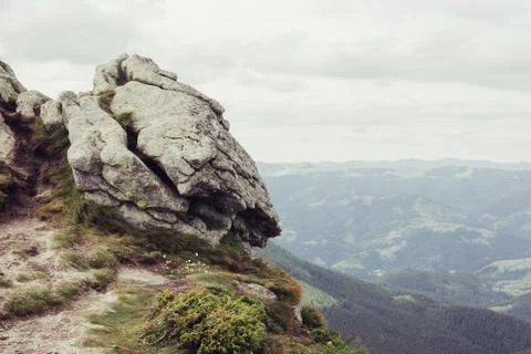 Sun setting behind spruce trees on a lush green slop Stock Photos