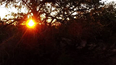 Sun setting behind the trees in the mountains Stockbeeldmateriaal 45674363
