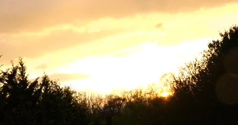 Sun Setting Behind Trees - A Tranquil Natural Phenomenon Captured in Real-time Stock Footage 262117888